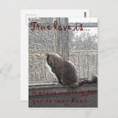 Liebe wird gewartet postkarte (Vorne/Hinten)