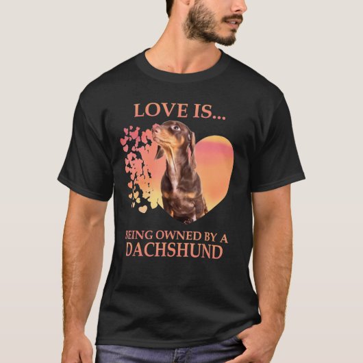 Liebe wird von einer Dackel gehalten T-Shirt (Vorderseite)