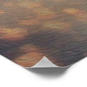 Liebe Wish Lanterns Poster (Ecke)