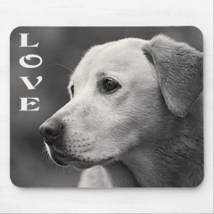 Liebe Yellow Labrador Retriever Puppy Hund Mousepa Mousepad