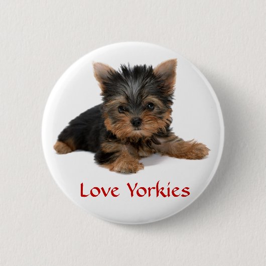 Liebe Yorkies Welpe Button Button (Vorderseite)