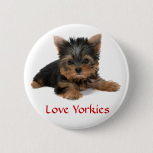Liebe Yorkies Welpe Button Button