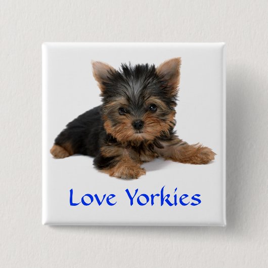 Liebe Yorkies Welpe Button Button (Vorderseite)