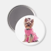 Liebe Yorkshire Terrier Puppy Dog Magnet (Vorderseite/Rückseite)