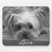 Liebe Yorkshire Terrier Puppy Dog Mousepad (Vorne)