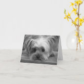 Liebe Yorkshire Terrier Welpe Doppy Blank Card Karte (Gelbe Blume)
