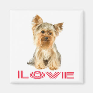 Liebe Yorkshire Terrier Welpen Hund Kühlschrankmag Magnet