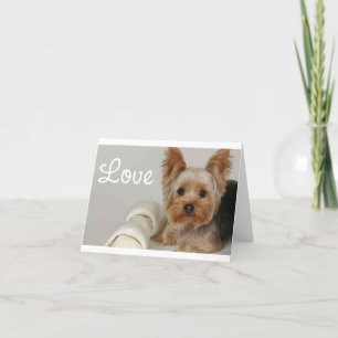 Liebe Yorkshire Terrier Welpen Lederkarte Karte