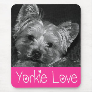 Liebe Yorkshire Terrier Welpen-Mauspad Mousepad