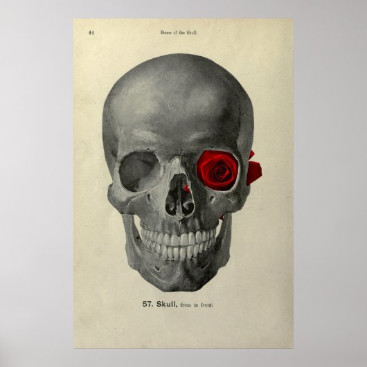Liebe You Forever Poster (Vorne)