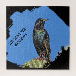 Liebe You Oma Black Starling Foto Südwest Puzzle