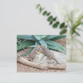 Liebe you_Reptiles Postkarte (Stehend Vorderseite)