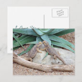 Liebe you_Reptiles Postkarte (Vorne/Hinten)