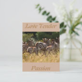 Liebe zart Passion Afrikanische Zebra coole Karten (Stehend Vorderseite)