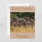 Liebe zart Passion Afrikanische Zebra coole Karten (Vorne/Hinten)