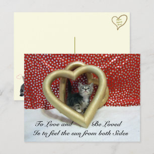 Liebe Zitat Lilo Cat Postkarte