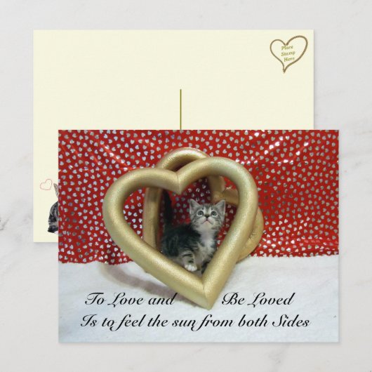 Liebe Zitat Lilo Cat Postkarte (Vorne/Hinten)