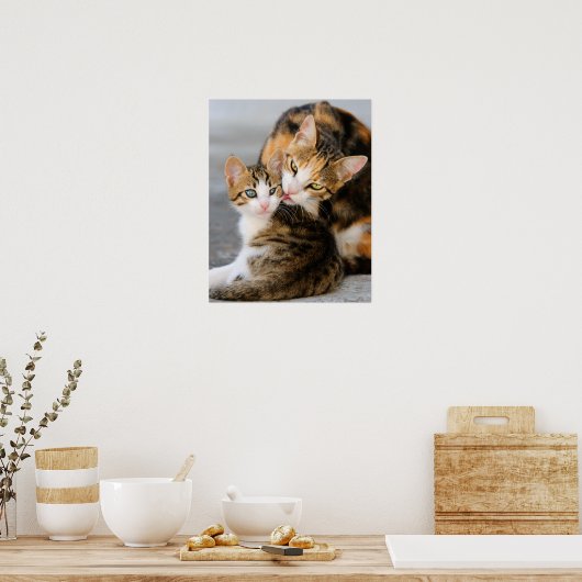 Lieben der Mutterkatze niedlich Kätzchen Poster (Küche)