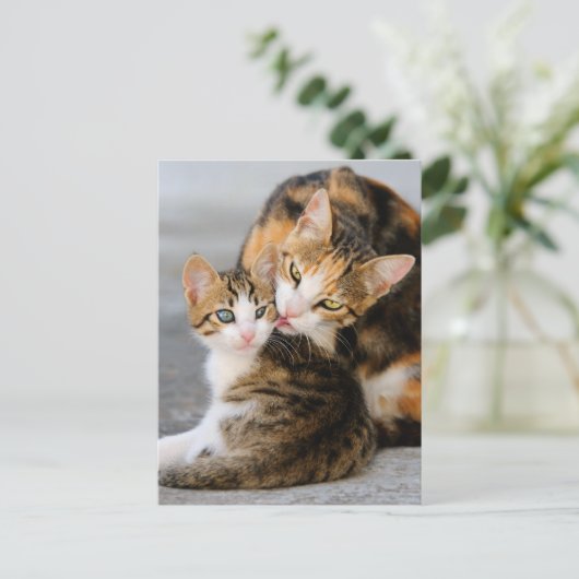 Lieben der Mutterkatze niedlich Postkarte (Stehend Vorderseite)