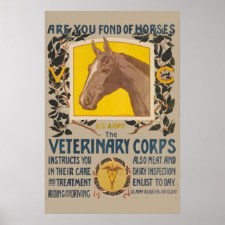 Lieben Sie Pferde US Army Veterinärmedizin Poster