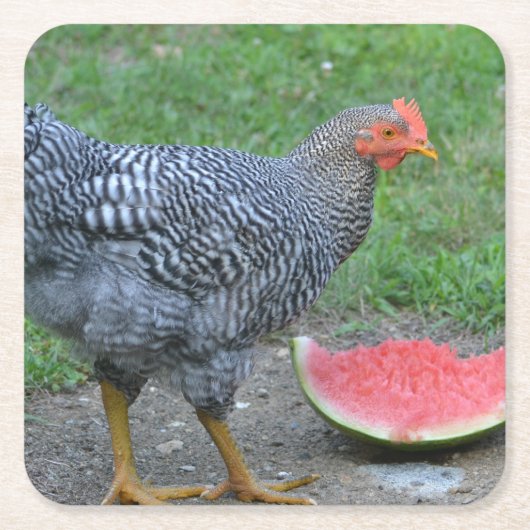 Lieben Watermelon Untersetzer (Vorderseite)