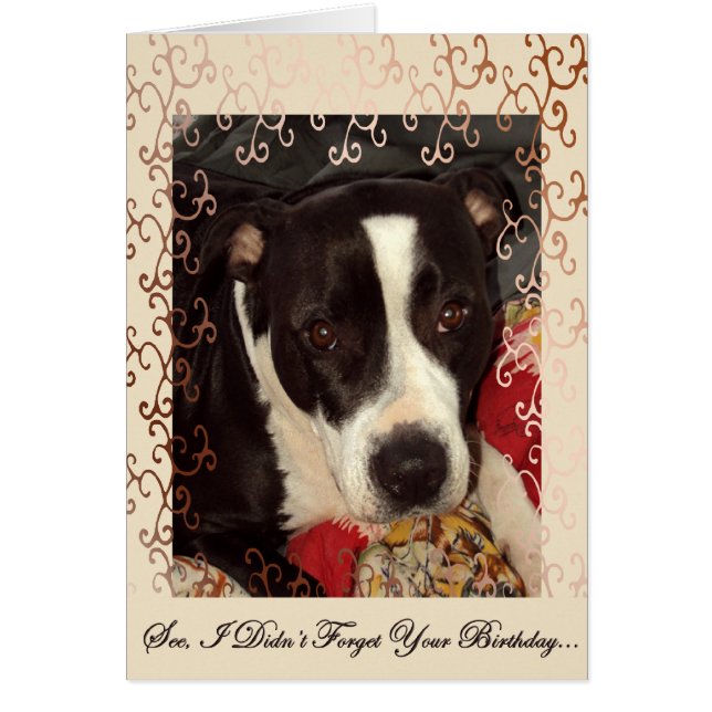 Liebende Augen (Vorne)