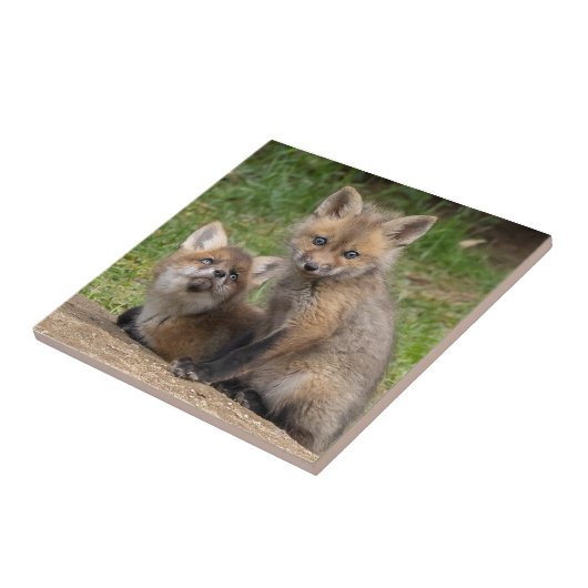 Liebende Augen Fliese (Seite)