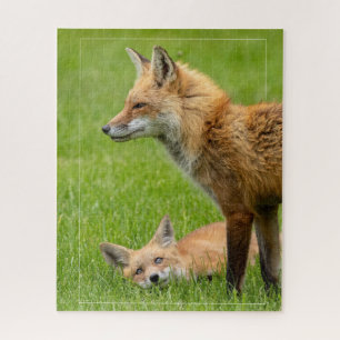 Liebende Augen Füchse mit Grenzen Puzzle