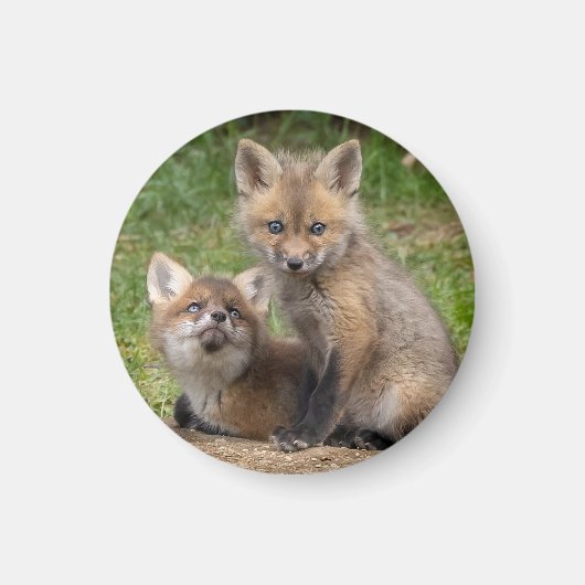 Liebende Augen Magnet (Vorne)