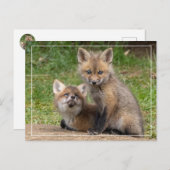 Liebende Augen Postkarte (Vorne/Hinten)