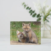 Liebende Augen Postkarte (Stehend Vorderseite)