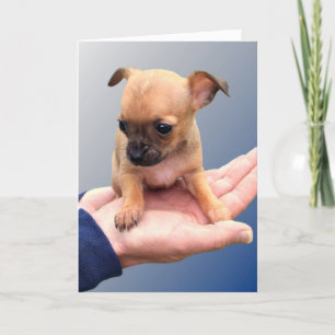 Liebende Hände Karte