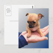 Liebende Hände Postkarte (Vorne/Hinten)