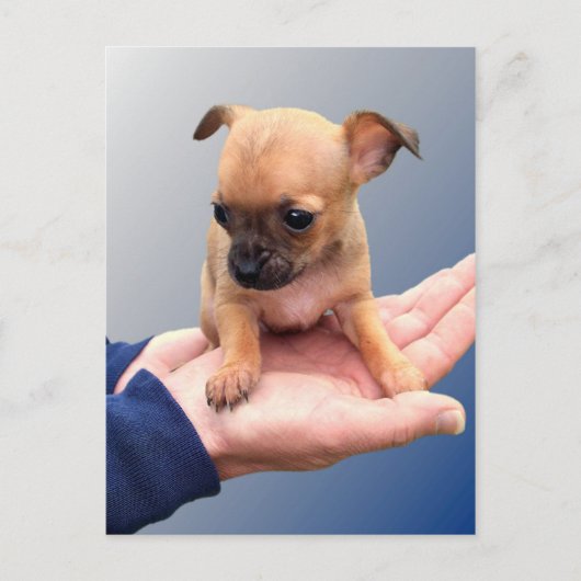 Liebende Hände Postkarte (Vorderseite)