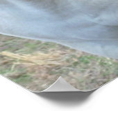 Liebende Pferde Poster (Ecke)