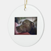 Liebende Pitbull Augen Keramikornament (Links)