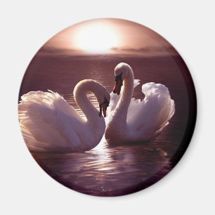 Liebende Schwäne als Herz Magnet