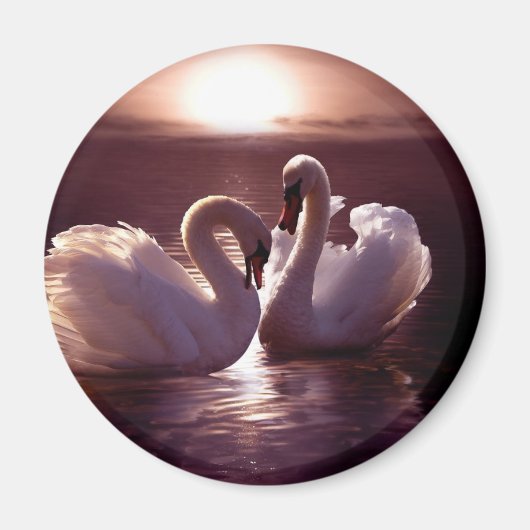 Liebende Schwäne als Herz Magnet (Vorne)