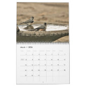 Liebende Schwäne, Liebesvögel 20XX Personalisiert Kalender (Mär 2026)