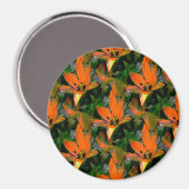 Liebende Tulpen... Magnet (Vorderseite/Rückseite)