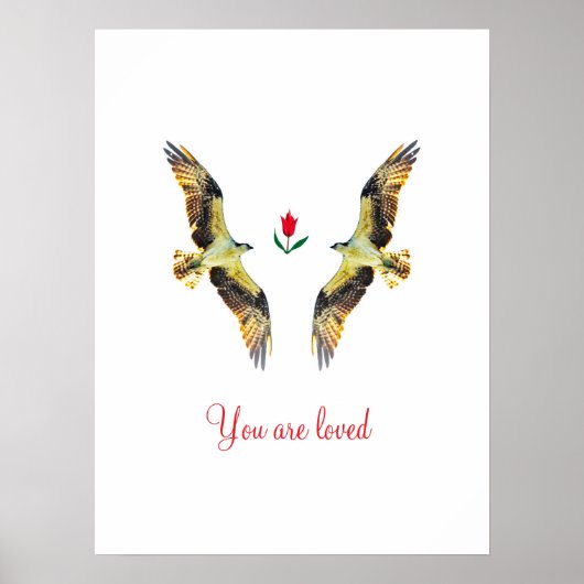 Liebende Vögel. Ospreys Poster (Vorne)