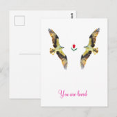 Liebende Vögel. Ospreys Postkarte (Vorne/Hinten)