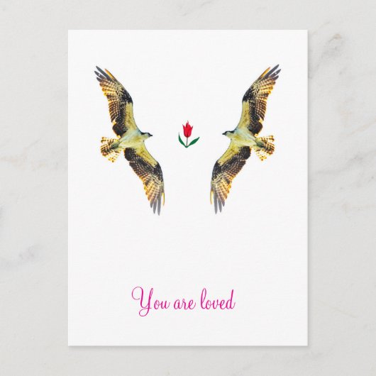 Liebende Vögel. Ospreys Postkarte (Vorderseite)