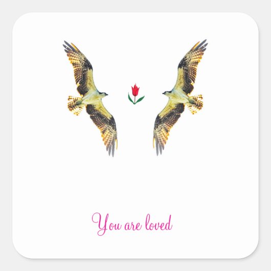Liebende Vögel. Ospreys Quadratischer Aufkleber (Vorderseite)