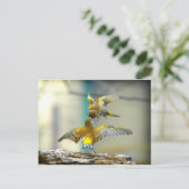 liebende Vögel Postkarte (Stehend Vorderseite)