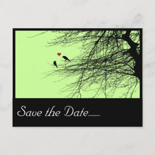 Liebende Vögel, Save the Date Postkarte. Ankündigungspostkarte