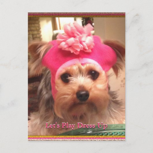 Liebende Yorkies in Hats Postcard Postkarte (Vorderseite)