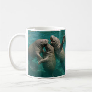 Liebenswerte Manatis Kaffeetasse