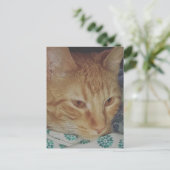 liebenswerte rote Katze im Bett Postkarte (Stehend Vorderseite)