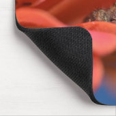 Liebenswerter Springer schaut heraus Mousepad (Ecke)